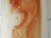 img-a413db28a51abefffaf53dc8619f8535-v1
